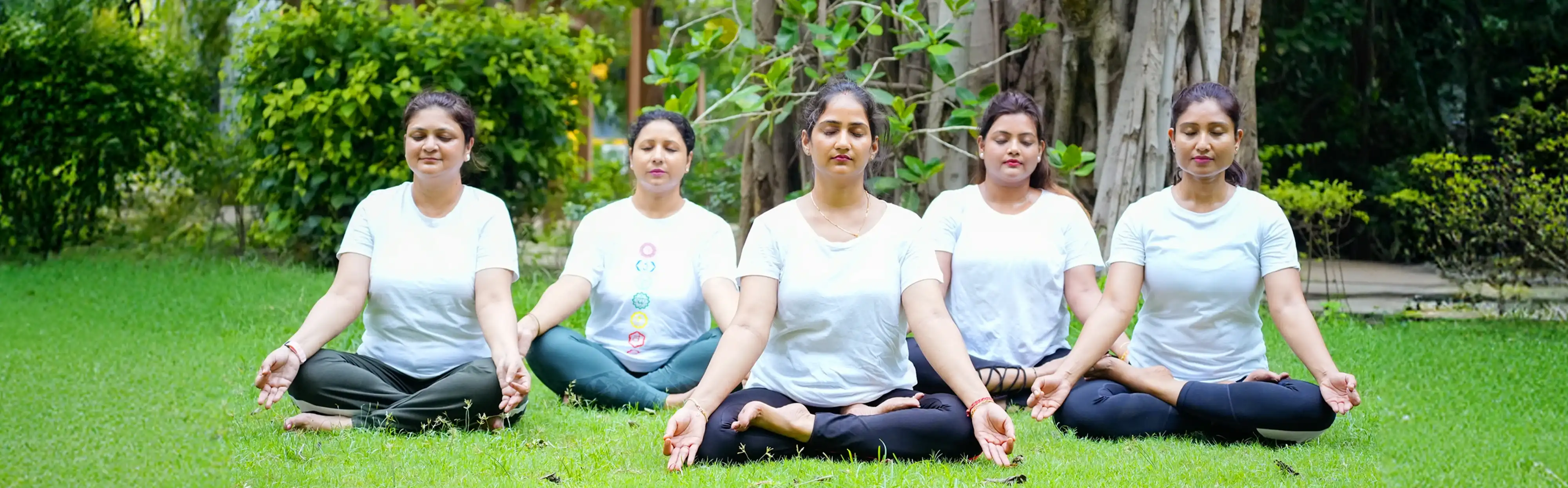 A detailed visualization of the rising energy through kundalini chakra points in the human body during an advanced session at Nabatara, guided by Gaurav Tribedi.